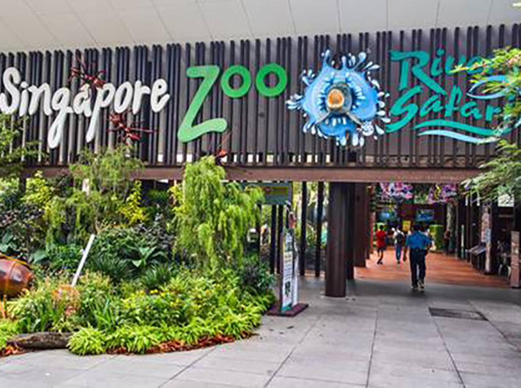 tu-locker-abs-Singapore-Zoo