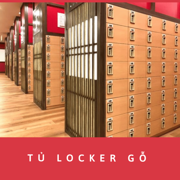 tu-locker-go