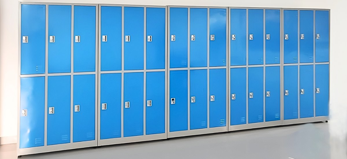 Trường St. Paul American