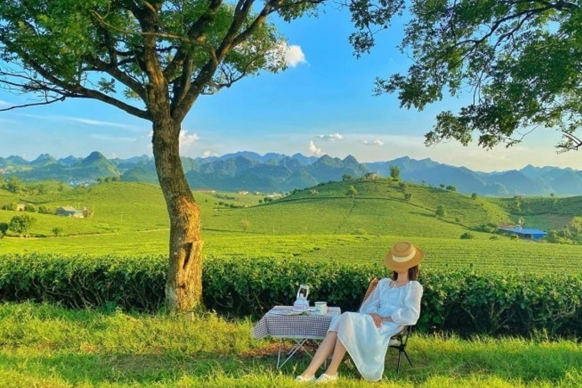 Mùa hè lý tưởng khi du lịch Mộc Châu