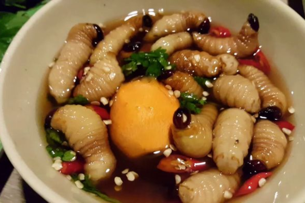 Đuông dừa béo ngậy