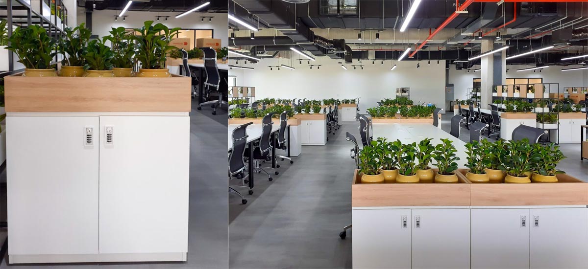 VNG Campus – Locker & Lock cung cấp hệ thống tủ locker tích hợp khóa số DL-12, phục vụ nhu cầu lưu trữ của hàng nghìn nhân viên.